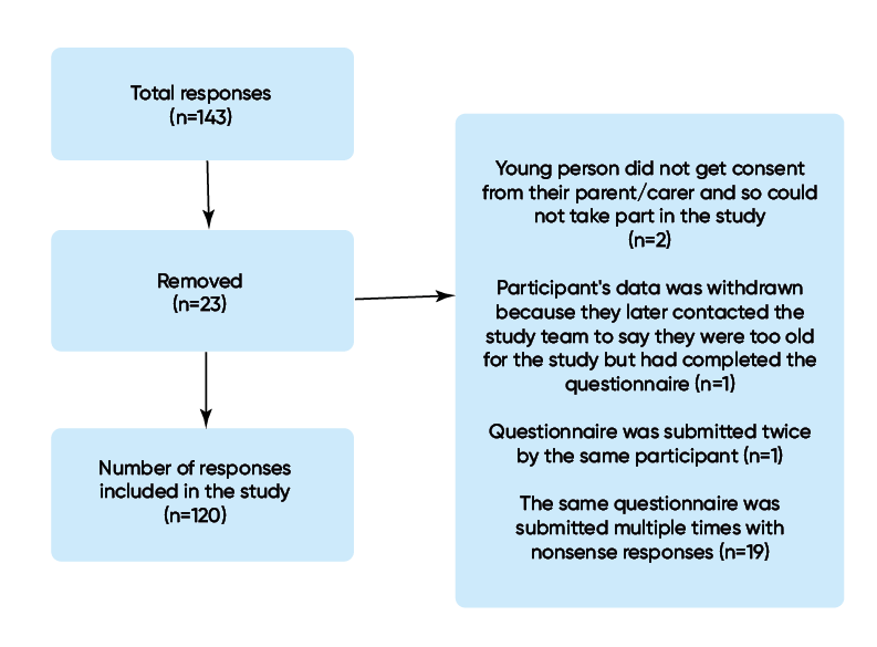 Figure 2: Survey responses
